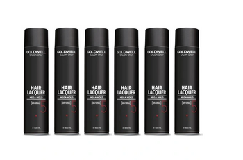 Goldwell Salon Only Haarspray 6x600 ml Lack