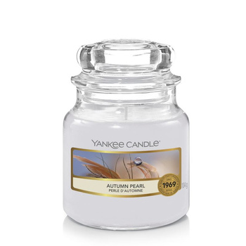 Yankee Candle Kleines Glas Autumn Pearl 104g