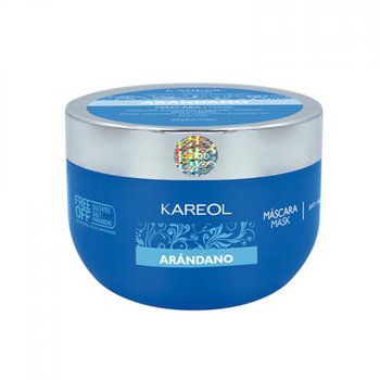 Kareol Heidelbeer-Haarmaske 300 g