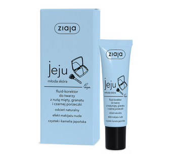 Ziaja Fluid-Face Concealer mit einem Hauch von Minze, Granatapfel und schwarzer Johannisbeere, 30 ml