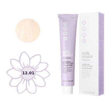 Milchshake Creative 12.01 Farbe 100ml