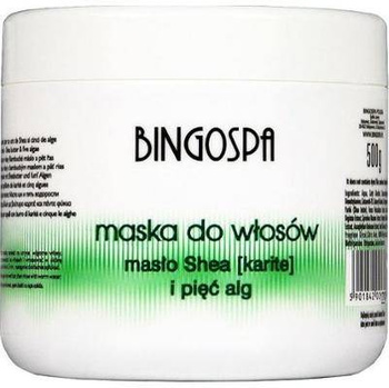 BingoSpa Haarmaske.Sheabutter 5 Algen 500g