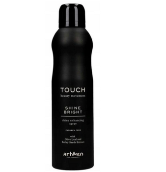 ARTEGO Touch Shine Bright Glanzspray 250ml